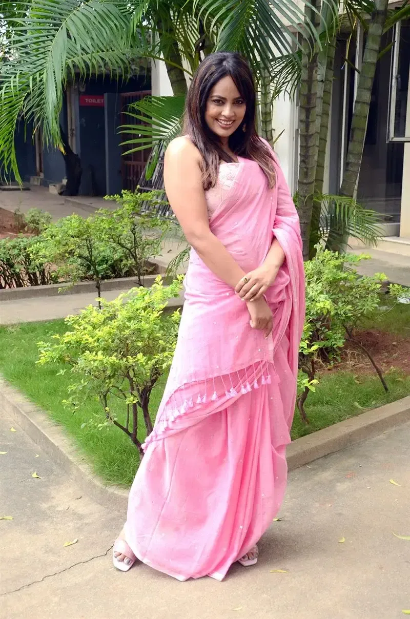 Actress Nandita Swetha in Pink Saree at Movie Press Meet